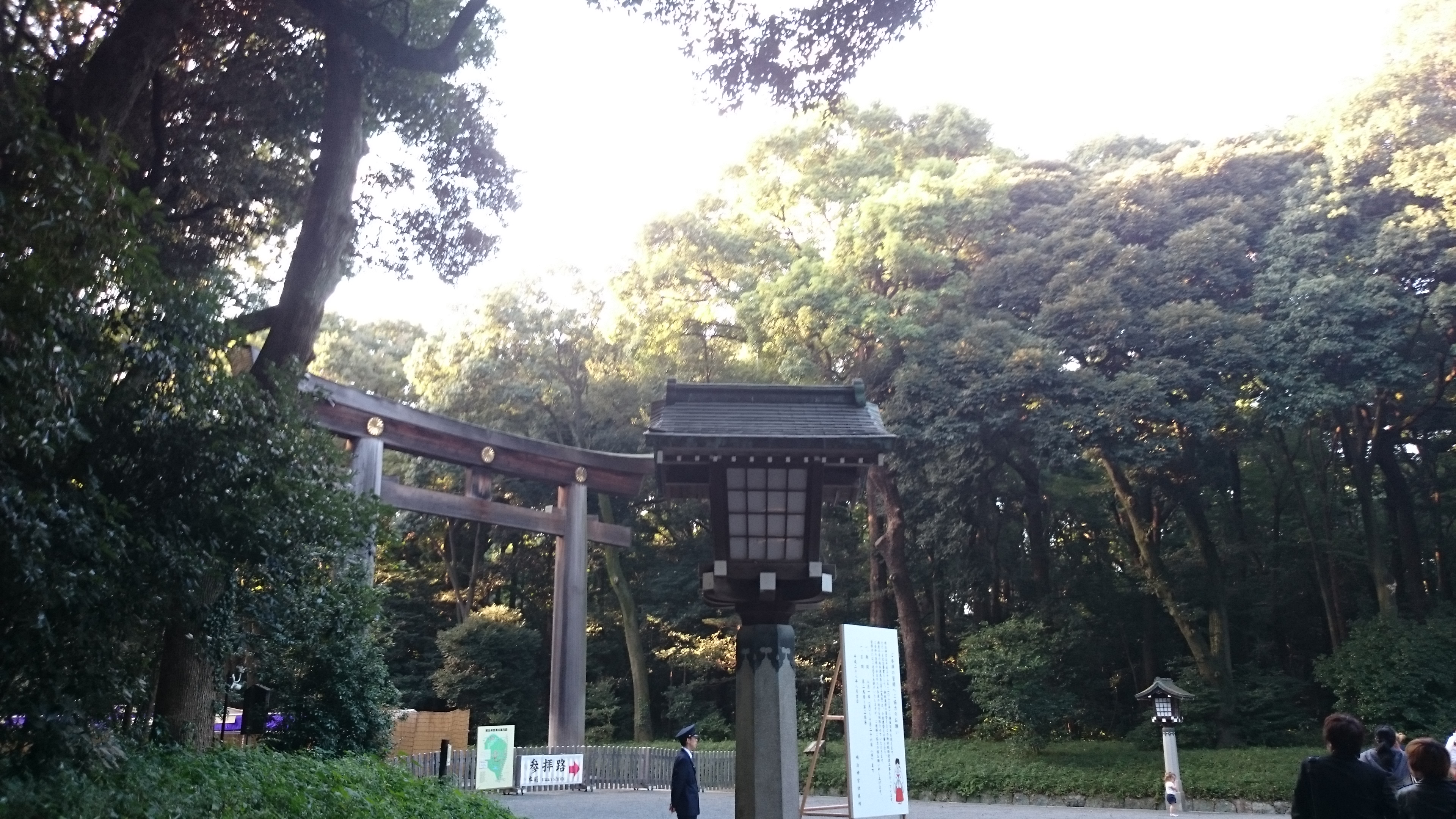 parc sanctuaire meiji-jingu, Tokyo, Japon