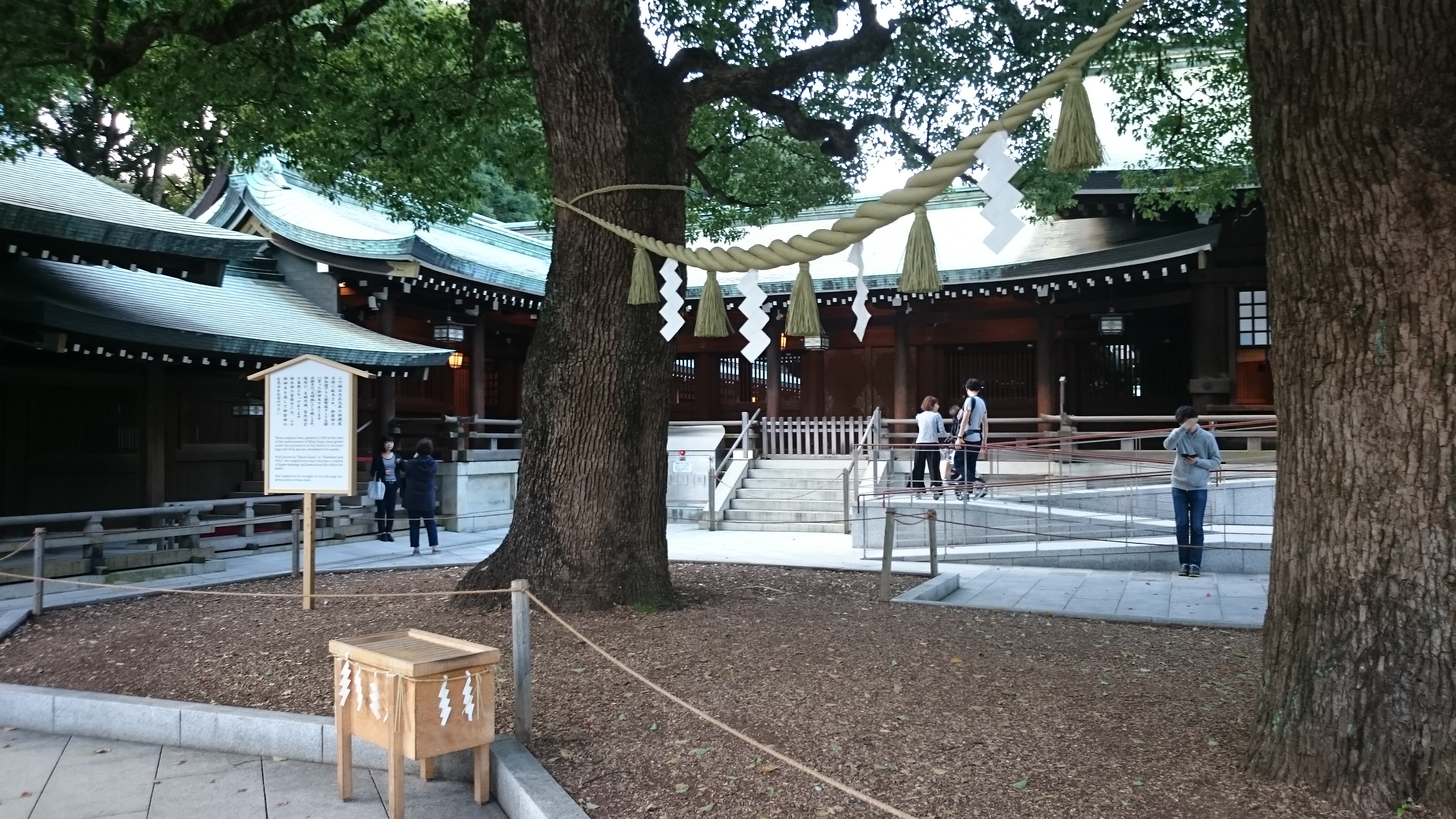 temple, parc sanctuaire meiji-jingu, Tokyo, Japon